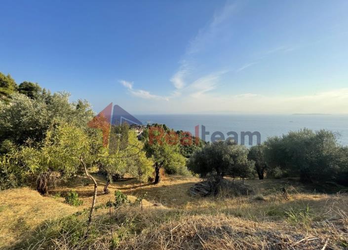 Image No.30-Property for sale