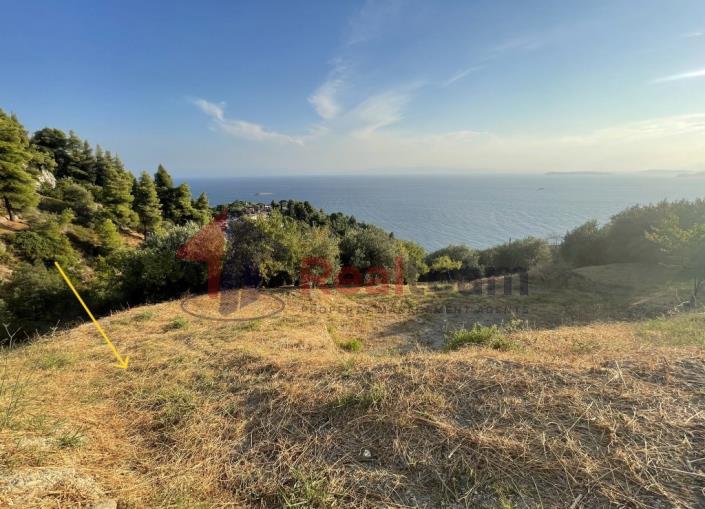 Image No.36-Property for sale