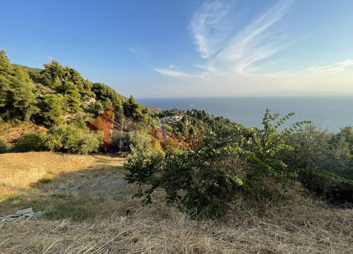 Image No.25-Property for sale