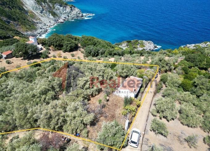 Image No.41-1 Bed Property for sale