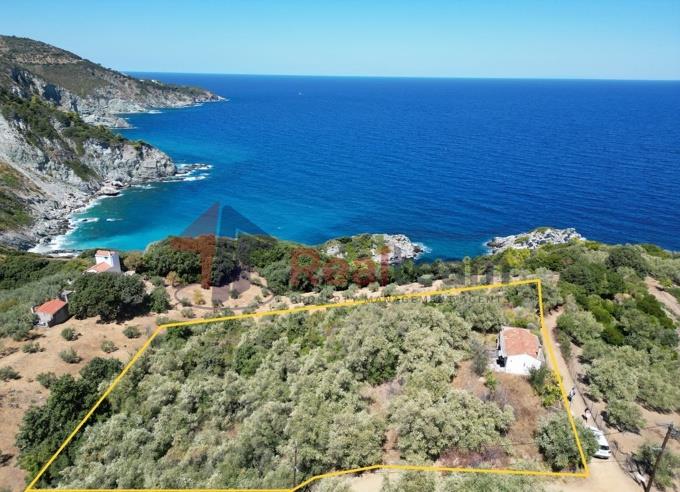 Image No.49-1 Bed Property for sale