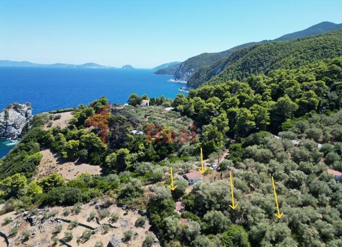 Image No.40-1 Bed Property for sale