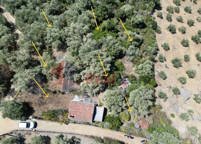 Image No.48-1 Bed Property for sale