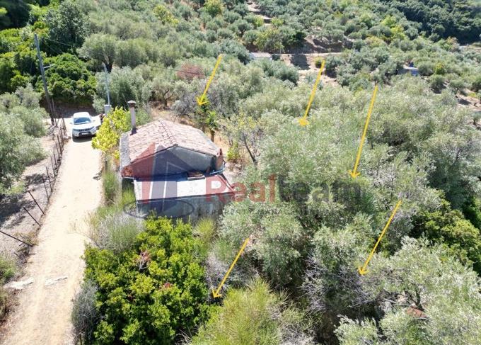 Image No.32-1 Bed Property for sale