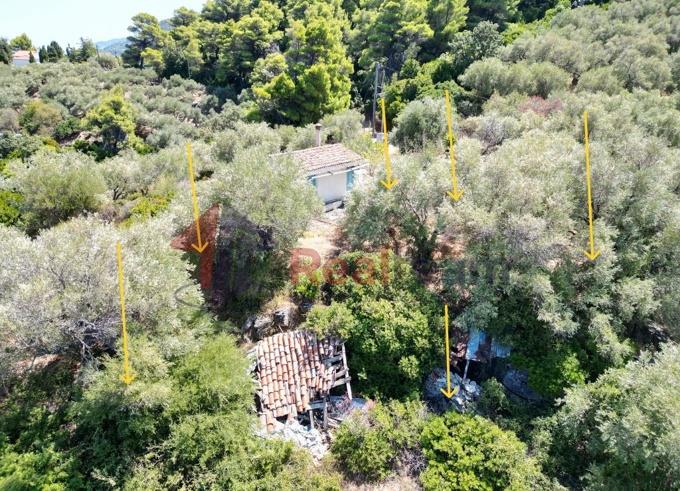 Image No.51-1 Bed Property for sale