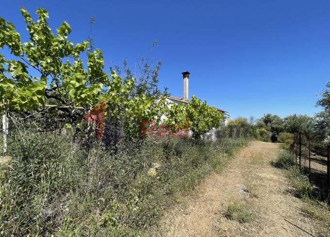 Image No.33-1 Bed Property for sale