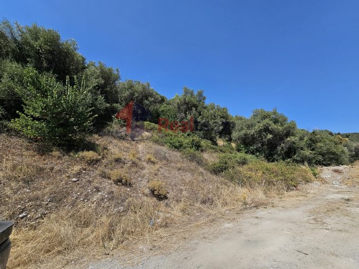 Image No.11-Property for sale