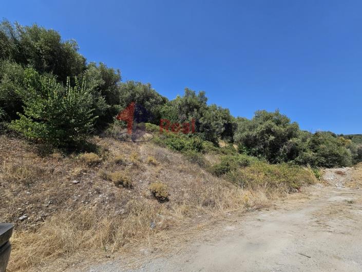 Image No.41-Property for sale