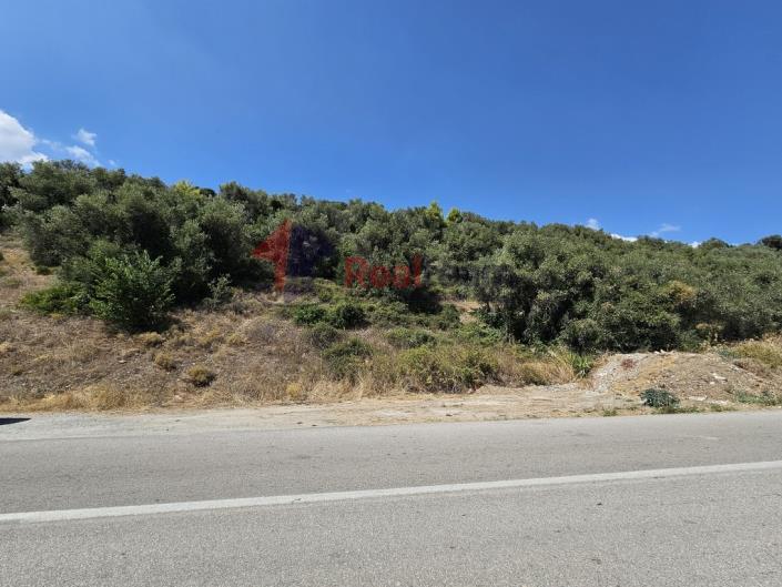 Image No.48-Property for sale