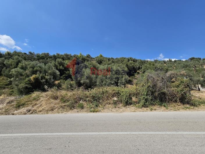 Image No.46-Property for sale