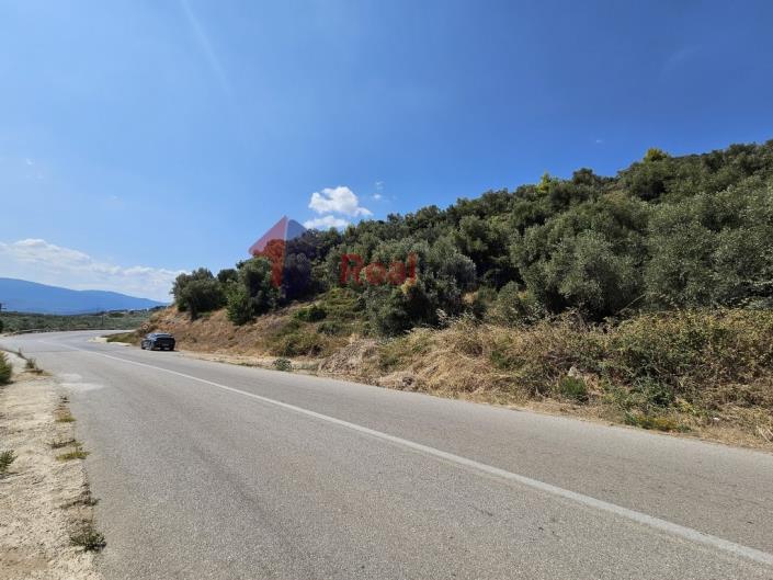 Image No.44-Property for sale