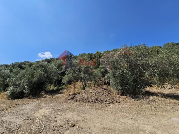 Image No.35-Property for sale