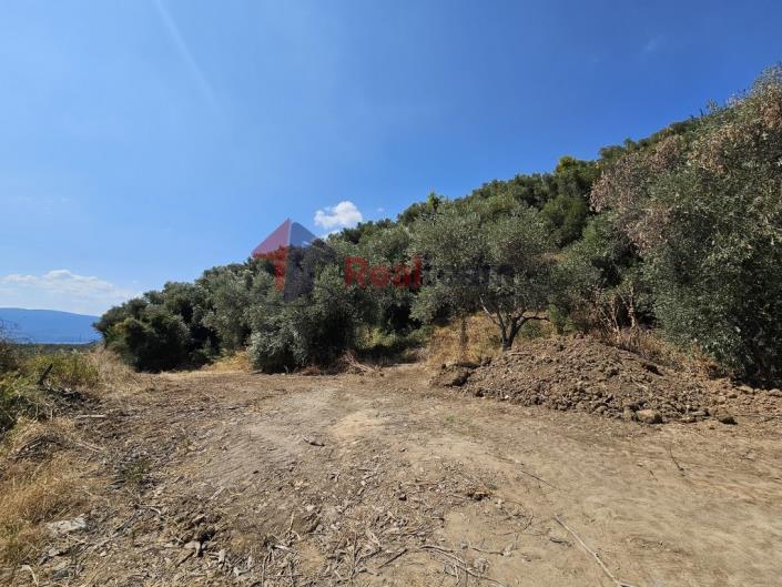 Image No.45-Property for sale