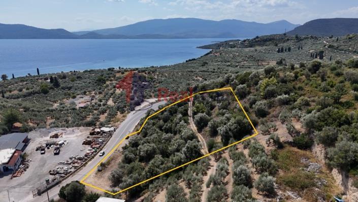 Image No.42-Property for sale