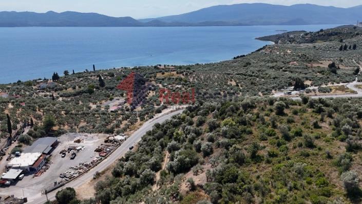 Image No.27-Property for sale