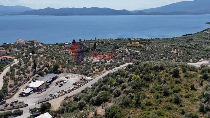 Image No.33-Property for sale