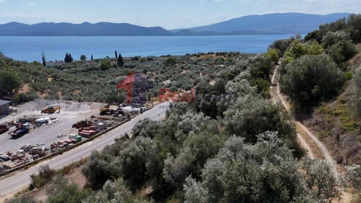 Image No.32-Property for sale