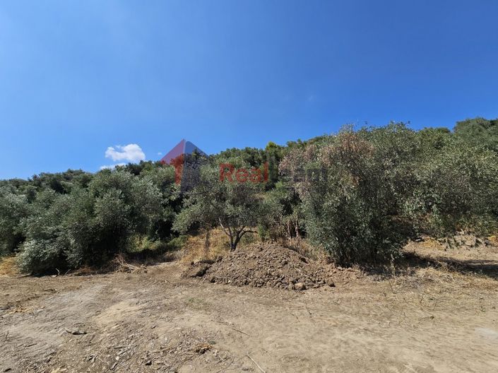 Image No.13-Property for sale