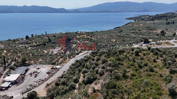 Image No.3-Property for sale