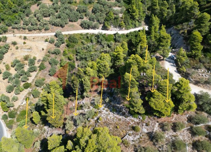 Image No.11-Property for sale