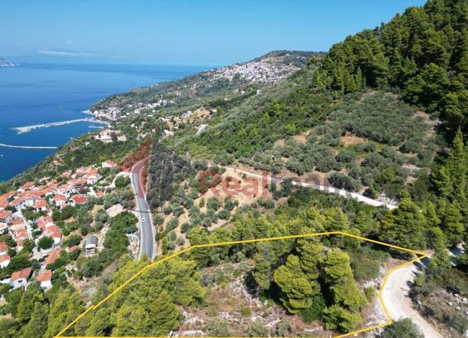 Image No.20-Property for sale