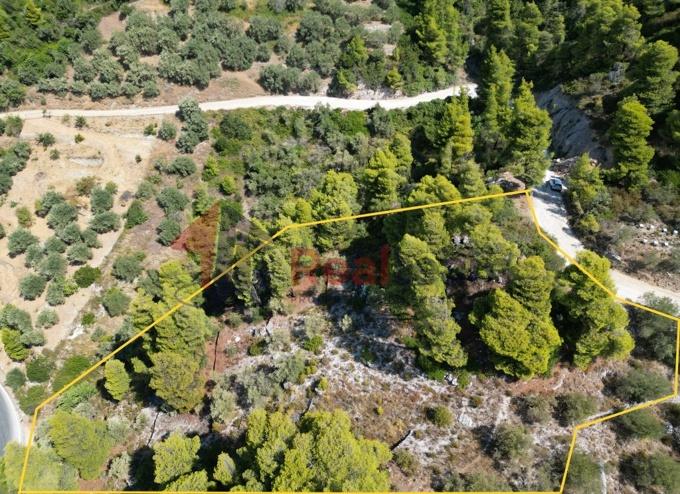 Image No.22-Property for sale