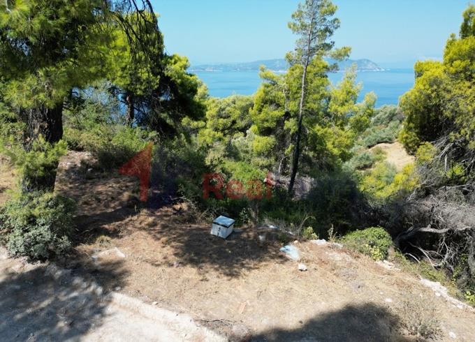 Image No.37-Property for sale