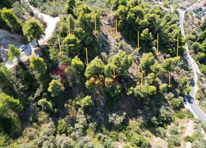 Image No.13-Property for sale