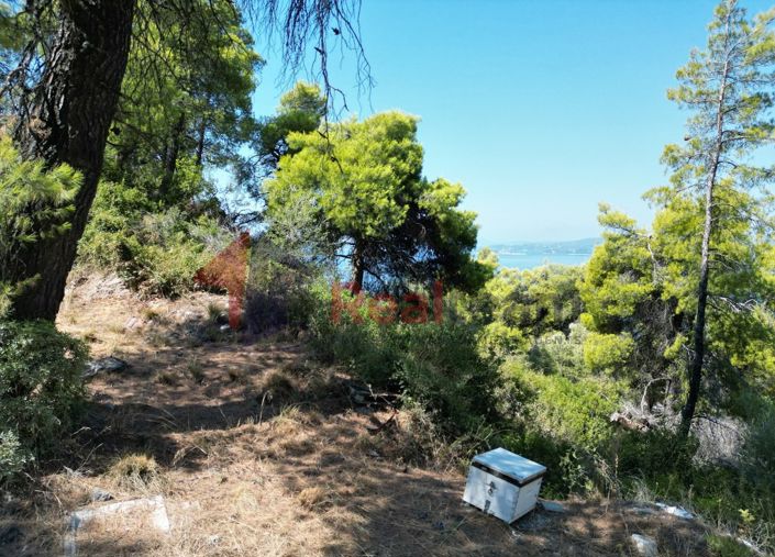 Image No.17-Property for sale