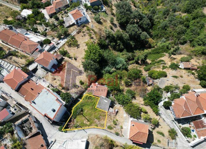 Image No.10-Propriété à vendre à Glossa