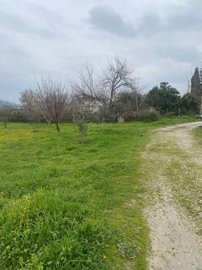 1 - Aidipsos, Property