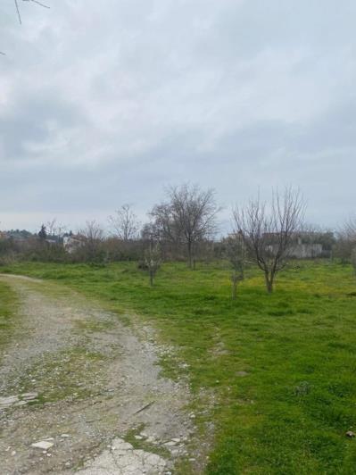 Image No.14-Property for sale