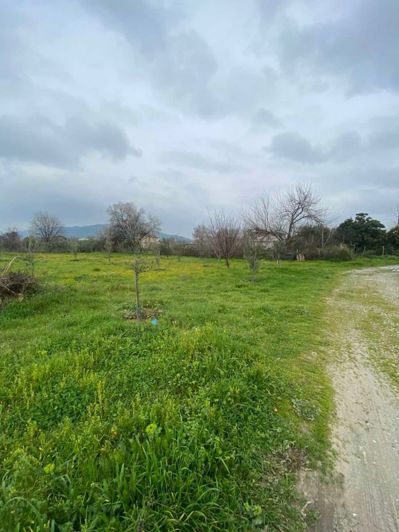 Image No.2-Property for sale