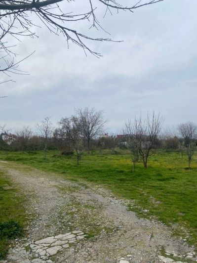 Image No.3-Property for sale