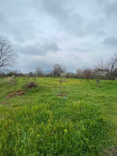 Image No.4-Property for sale