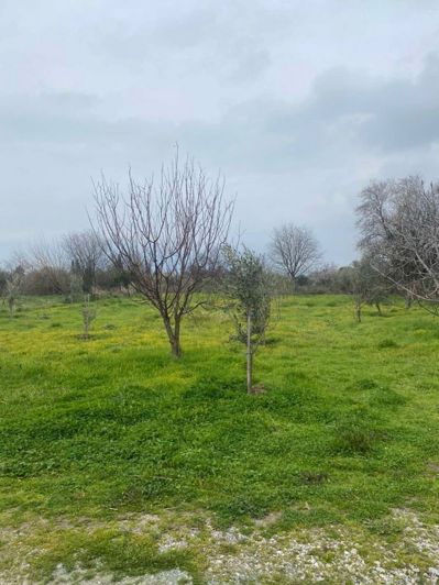 Image No.6-Property for sale