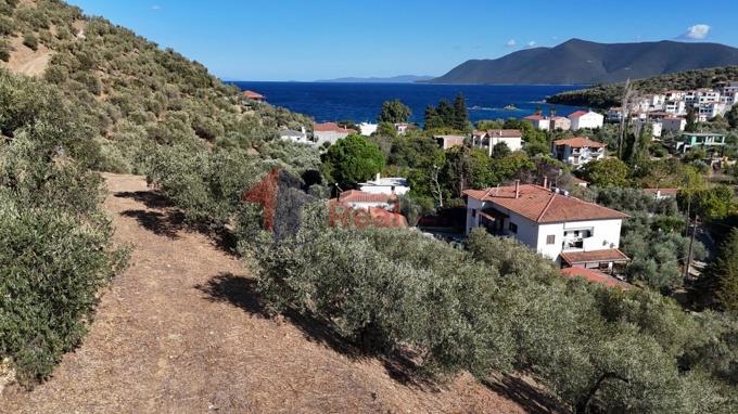 Image No.19-Property for sale