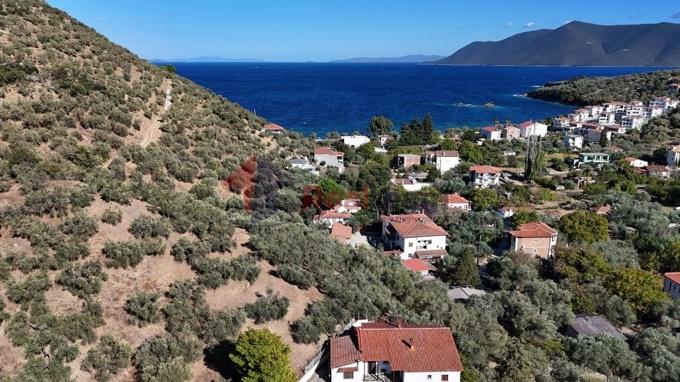 Image No.22-Property for sale