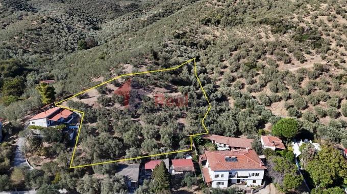 Image No.24-Property for sale