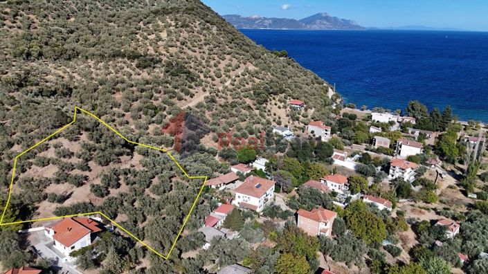 Image No.2-Property for sale