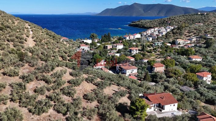 Image No.4-Property for sale