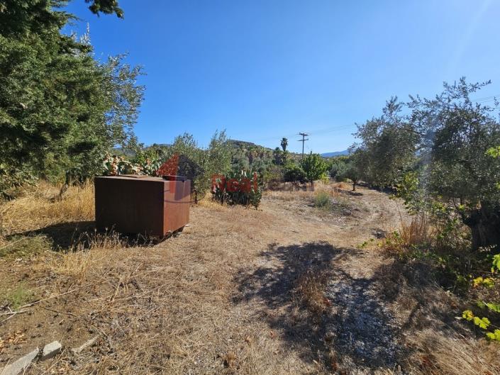 Image No.46-Property for sale