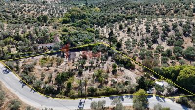 DJI_20250920161408_0181_D_1024x576