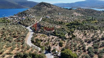DJI_20250920161423_0182_D_1024x576