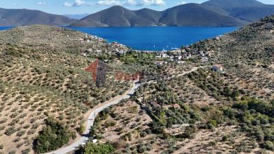 DJI_20250920161458_0186_D_1024x576