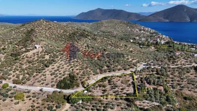 DJI_20250920161513_0188_D_1024x576