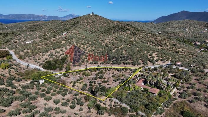 Image No.40-Property for sale