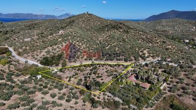 DJI_20250920161534_0190_D_1024x576