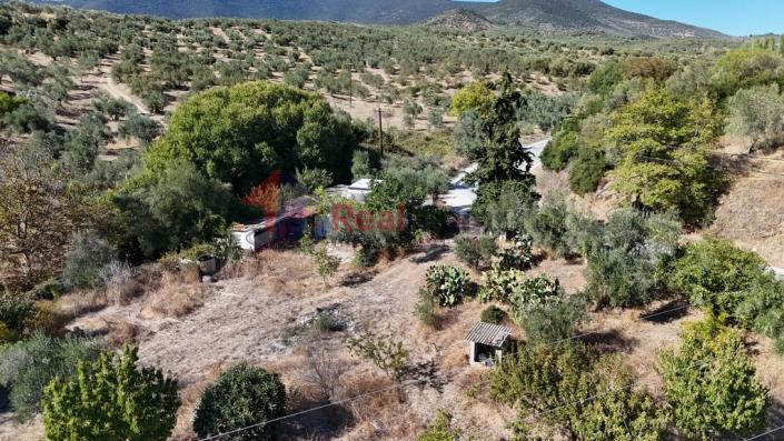 Image No.28-Property for sale