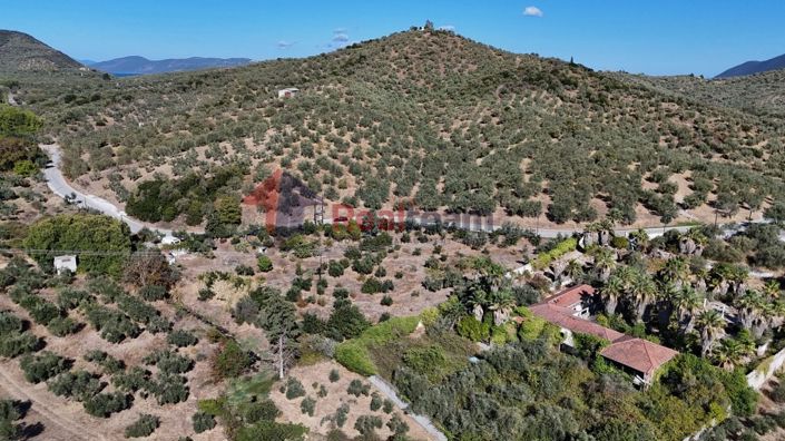 Image No.18-Property for sale